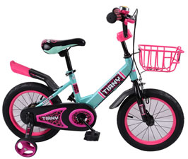 Children Bike  TY-TC1807